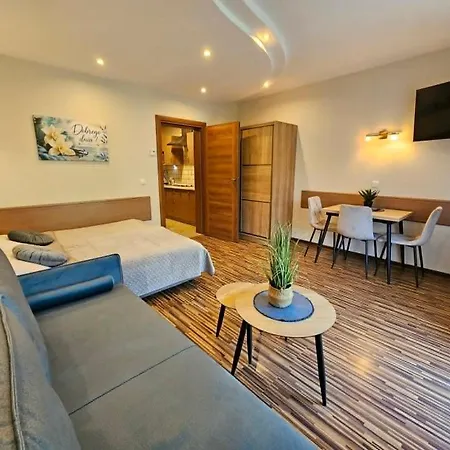 Appartement Starka - Aneks Kuchenny, Trasy Spacerowe, Szlaki Turystyczne, Z Psem