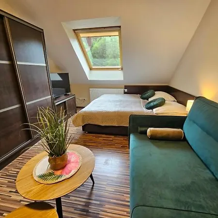 Appartement Starka - Aneks Kuchenny, Trasy Spacerowe, Szlaki Turystyczne, Z Psem Wisła