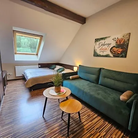 Appartement Starka - Aneks Kuchenny, Trasy Spacerowe, Szlaki Turystyczne, Z Psem Wisła