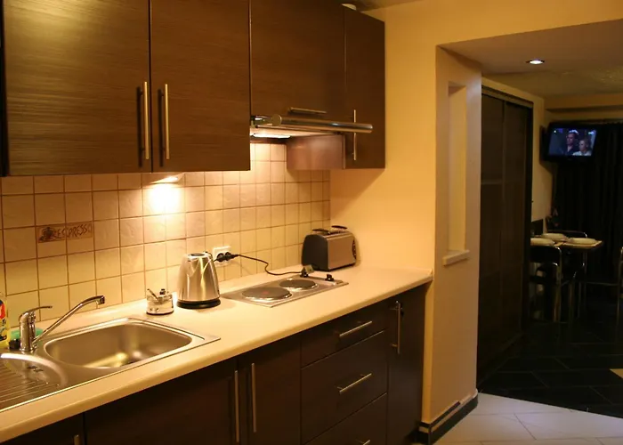 Apartment Starka Wisla