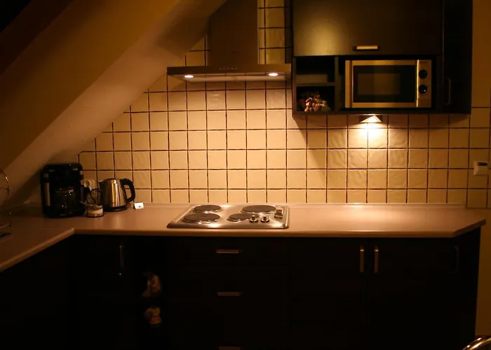 Apartment Starka Wisla